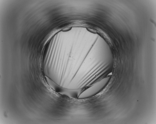 X0000097970860200804141050