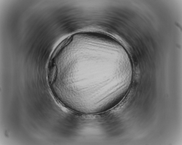 X0000097970862200804141050
