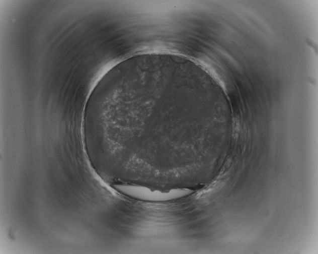 X0000097970863200804141050