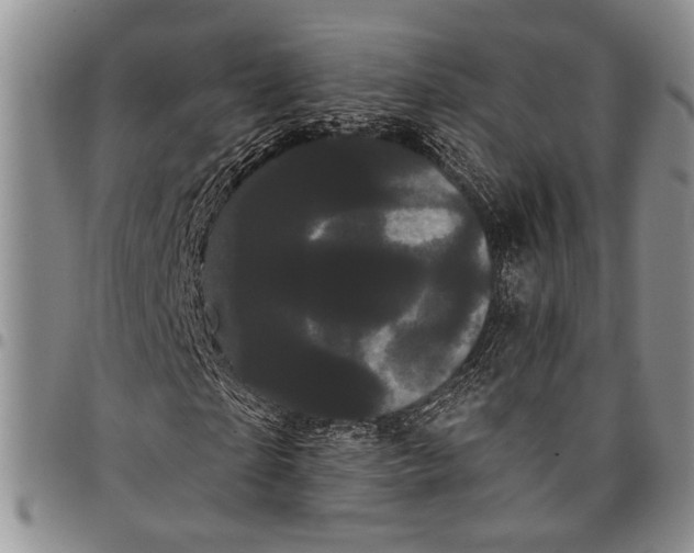 X0000097970865200804141049