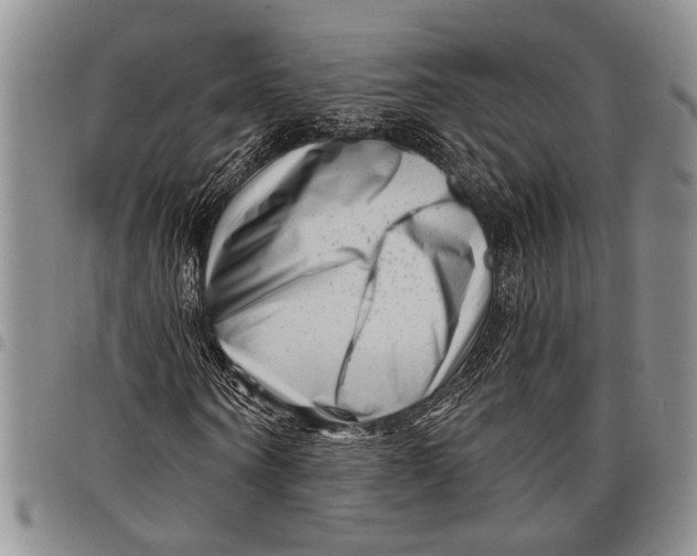 X0000097970866200804141049
