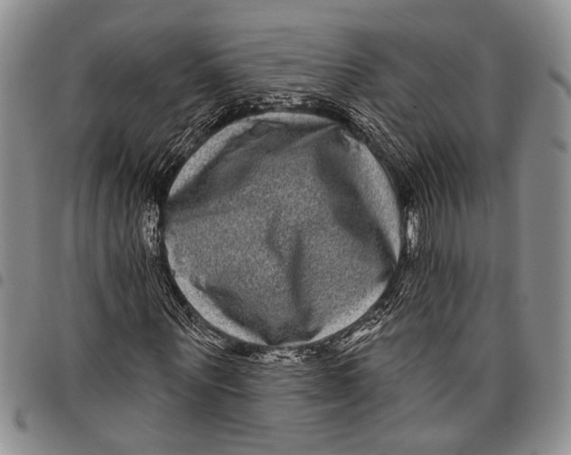X0000097970867200804141049