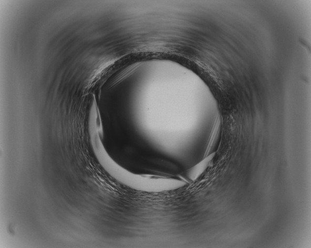 X0000097970872200804141049