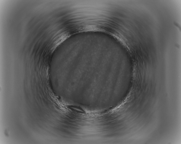 X0000097970873200804141049