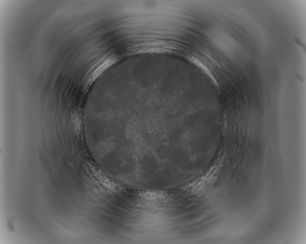 X0000097970874200804141049
