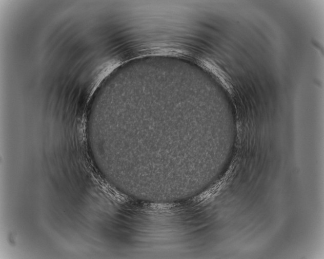 X0000097970875200804141049