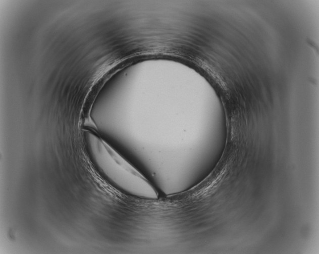 X0000097970876200804141049