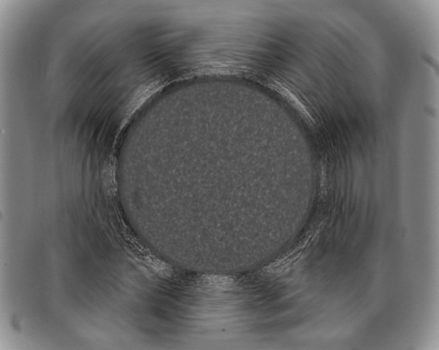 X0000097970878200804141049