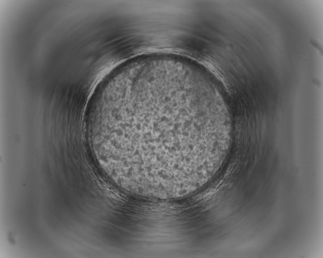 X0000097970879200804141049