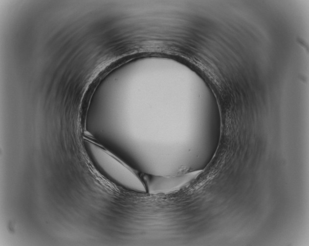X0000097970880200804141049