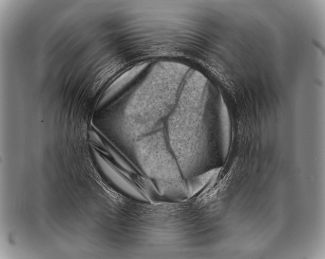 X0000097970881200804141049