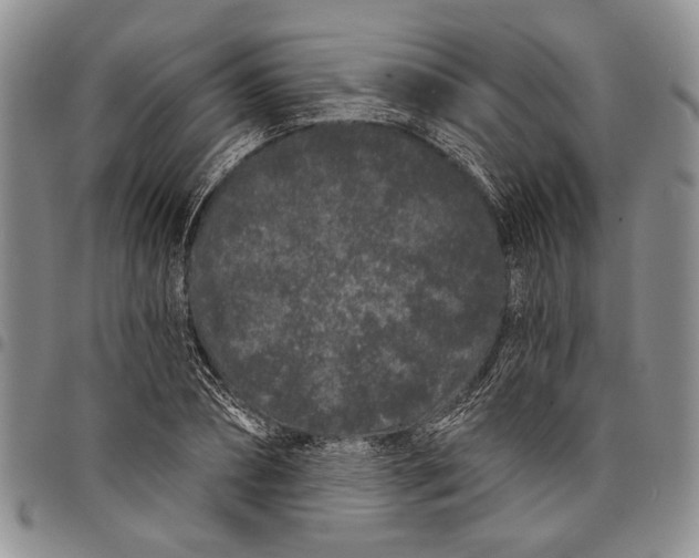 X0000097970882200804141049