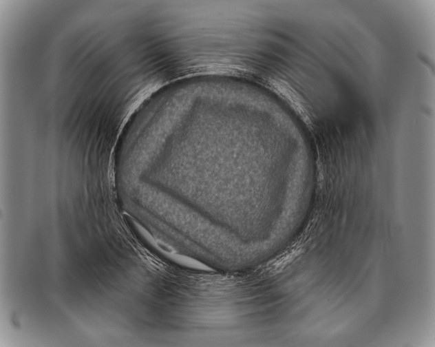 X0000097970883200804141049