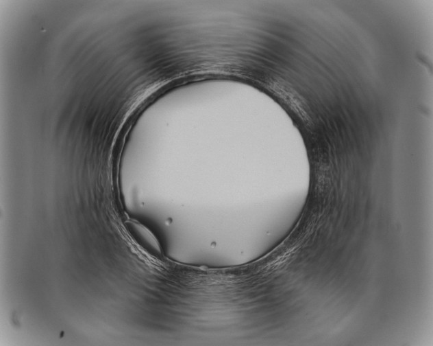 X0000097970884200804141049