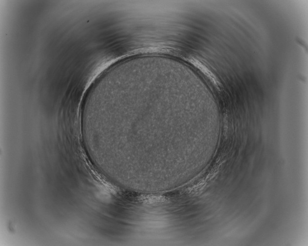 X0000097970886200804141049