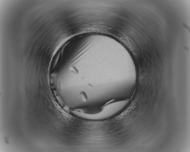 X0000097970888200804141049