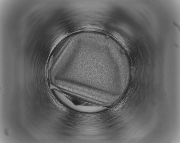 X0000097970891200804141049