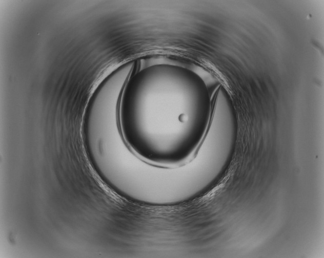 X0000097970893200804141049