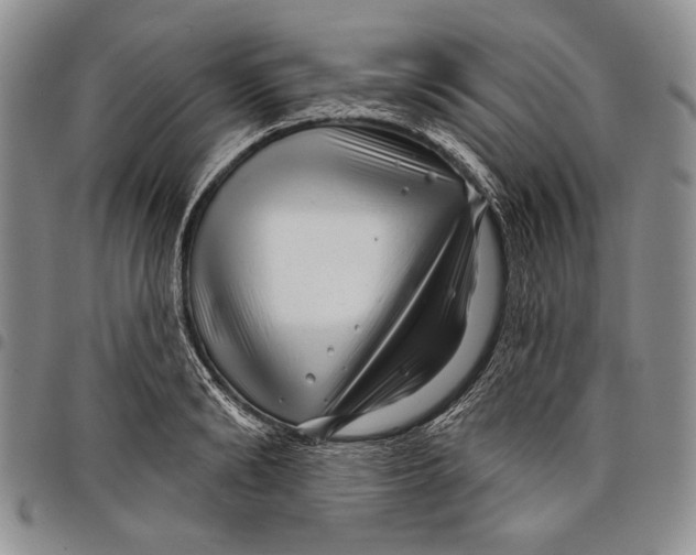X0000097970894200804141049
