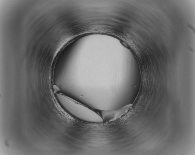 X0000097970896200804141049