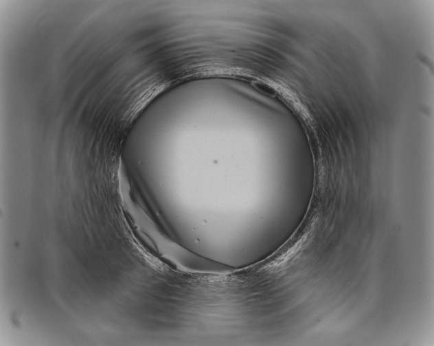X0000097970897200804141049