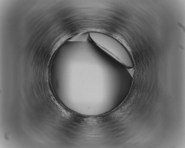X0000097970898200804141049
