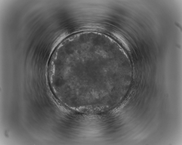 X0000097970899200804141049