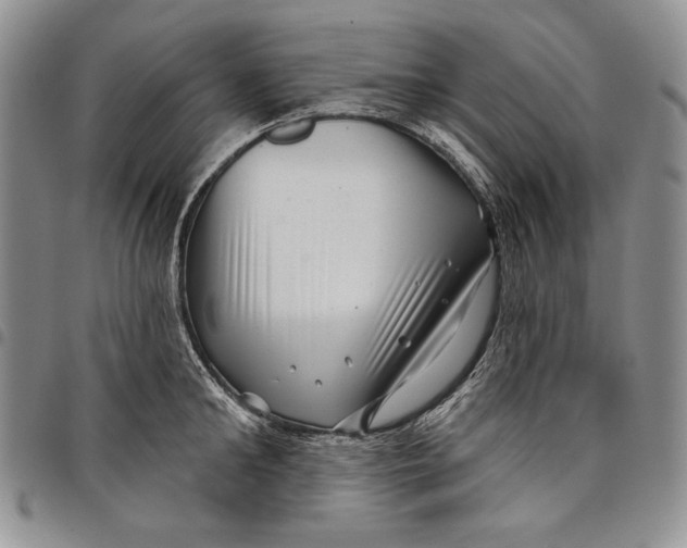 X0000097970902200804141049