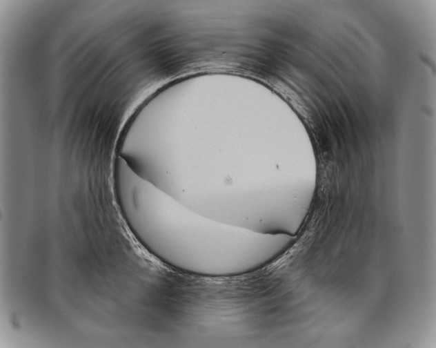 X0000097970904200804141049