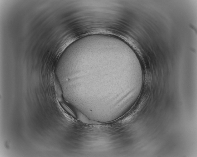 X0000097970905200804141049