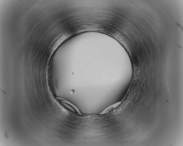 X0000097970906200804141049
