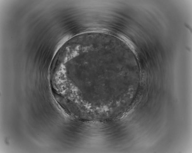 X0000097970907200804141049