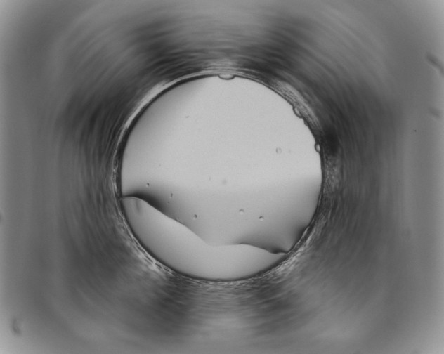 X0000097970908200804141049