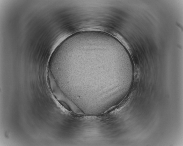 X0000097970909200804141048