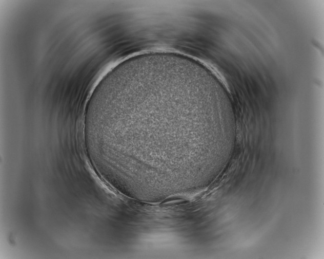 X0000097970911200804141048