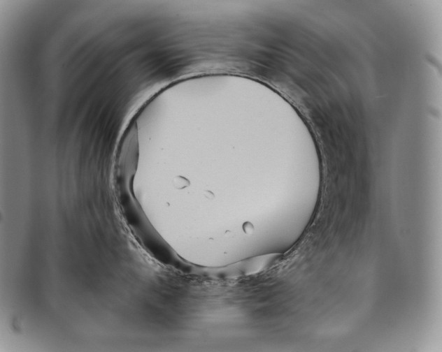 X0000097970912200804141048