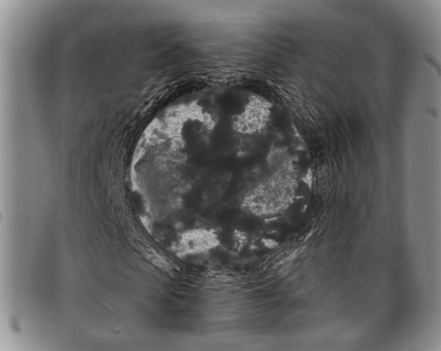 X0000097970913200804141048