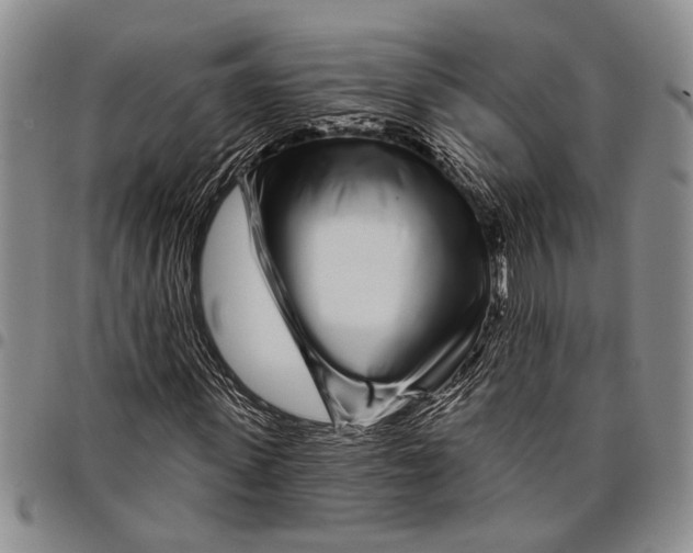 X0000097970915200804141048