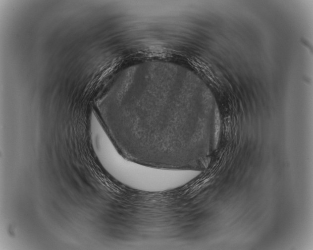 X0000097970916200804141048