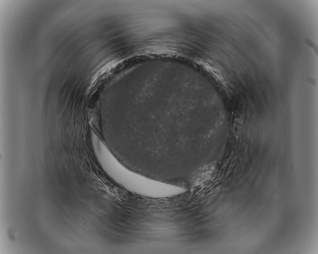 X0000097970920200804141048