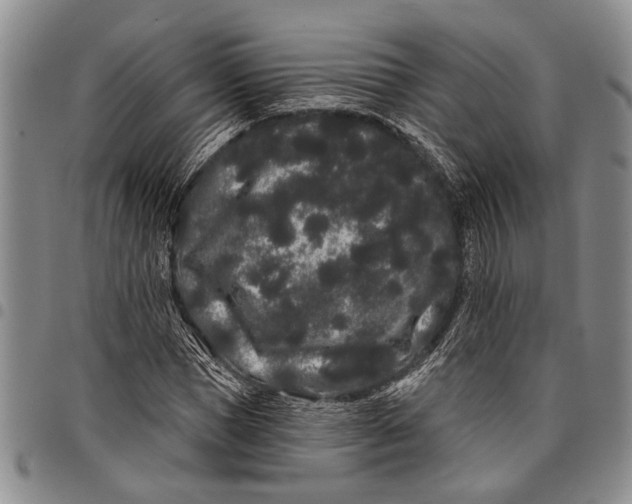 X0000097970921200804141048