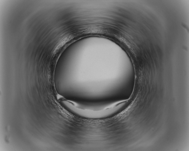 X0000097970922200804141048