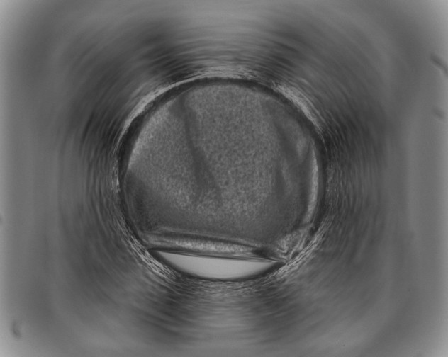 X0000097970923200804141048
