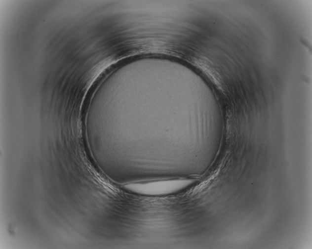 X0000097970924200804141048