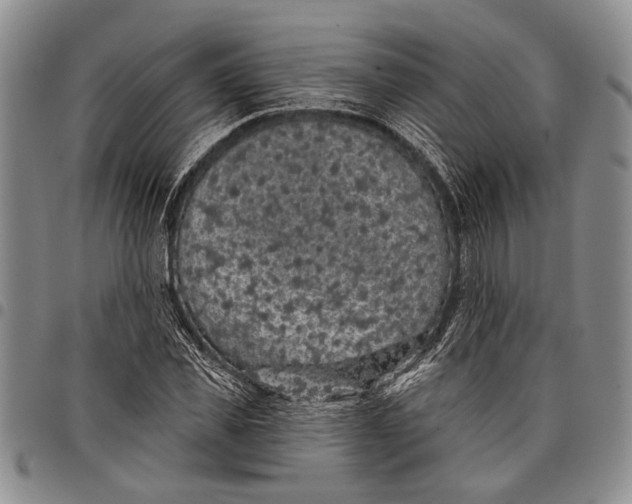 X0000097970925200804141048
