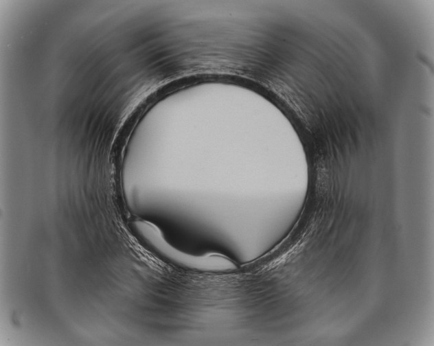 X0000097970926200804141048