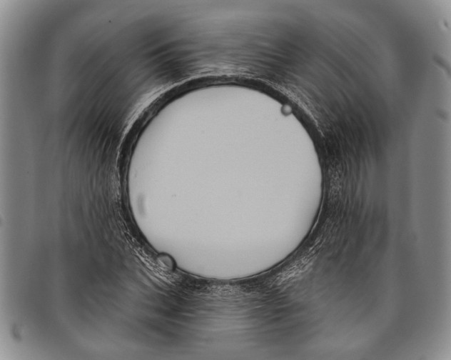 X0000097970927200804141048