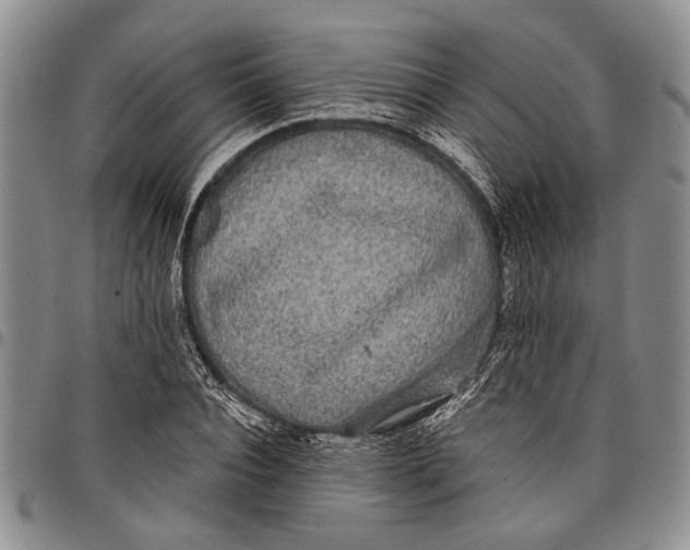 X0000097970928200804141048