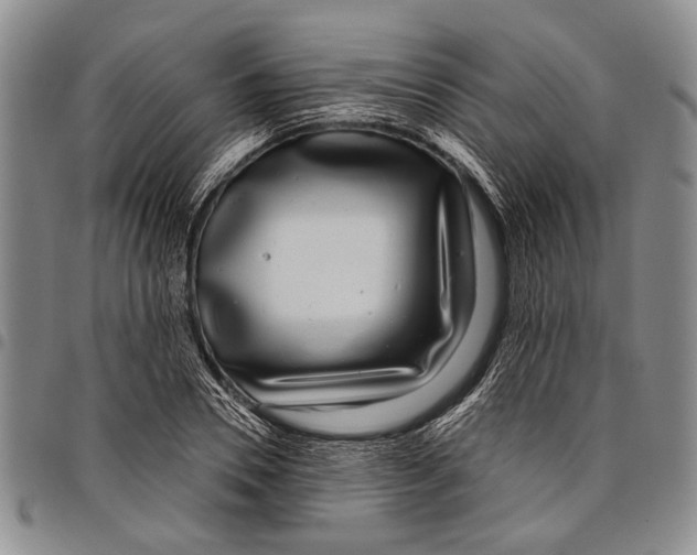 X0000097970930200804141048