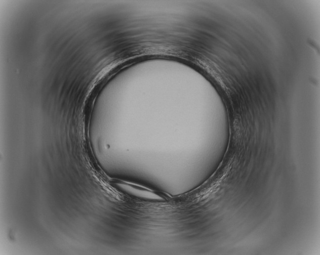 X0000097970931200804141048